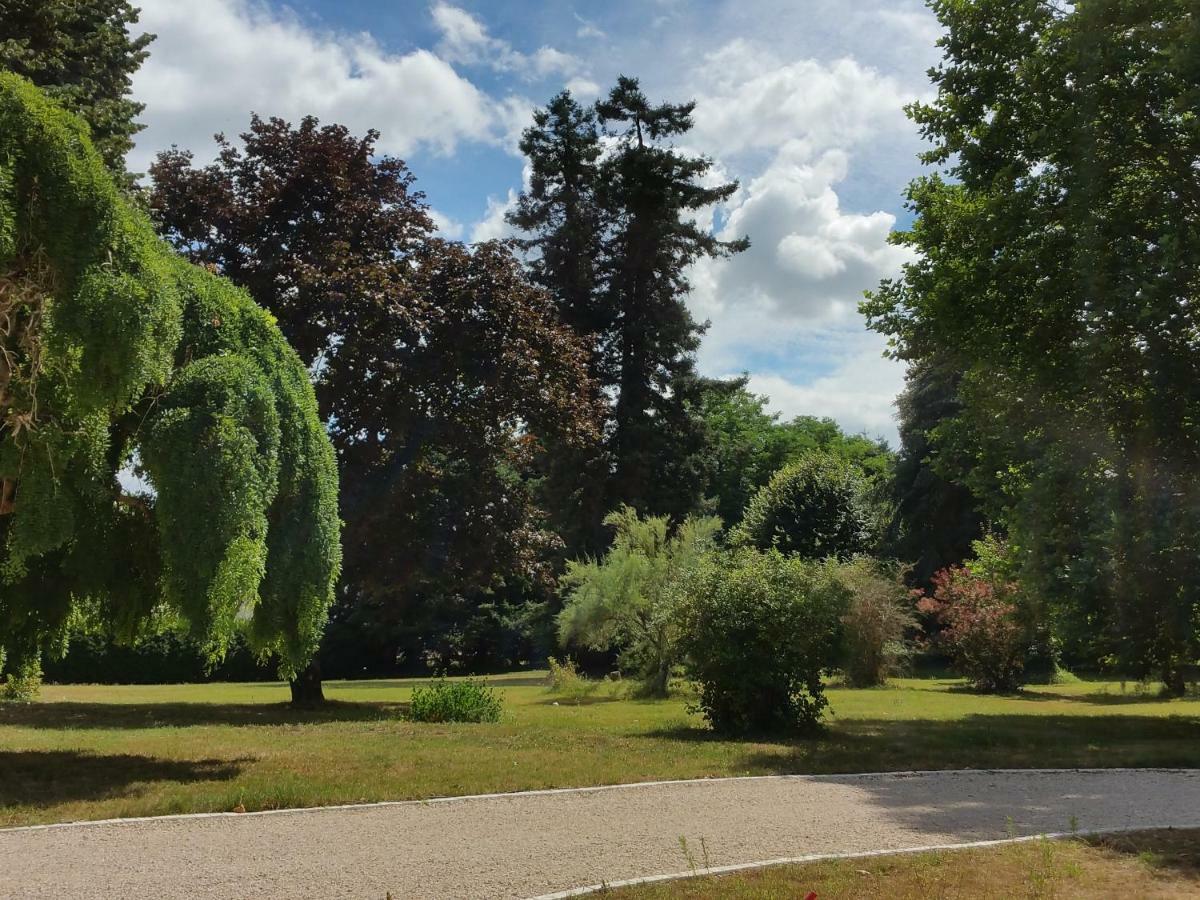Hotel Au Cocon De Sologne Soings-en-Sologne Zewnętrze zdjęcie